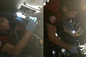 Tavandan ve vites kutusundan çıkanlar polisi şoke etti