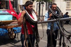 Büyükada'da ilginç görüntüler