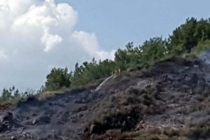 Yerleşim yeri yakınında orman yangını