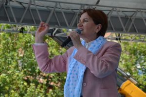 Meral Akşener'den 'kayısı' sözü