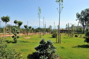 Trabzon'un 103 dönümlük botanik bahçesi tamamlanıyor