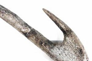 İnşaat çalışmasından 1800 yıllık tarih çıktı