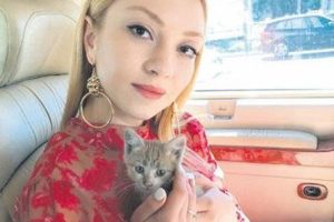 Ece Seçkin, minik bir kedinin hayatını kurtardı
