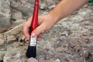 Meksika'da yeni dinozor türü keşfedildi
