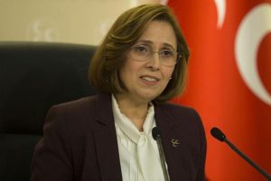MHP Genel Başkan Yardımcısı Depboylu: Kandil'i kuşattığımız için rahatsızlar