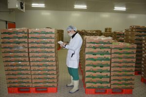 Bursalı firmanın hedefi Japonya'dan sonra Çin