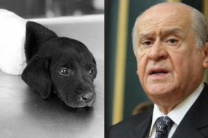 Ağlatan olaya siyasilerden art arda tepkiler: İnsanlığın defolu yüzleri...