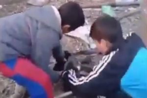 Bir vahşet daha ortaya çıktı!