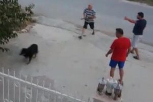 Köpeğe tüfekli saldırıya tepki!