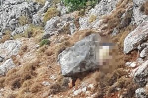 Kale surlarından kayalıklara düşerek can verdi!