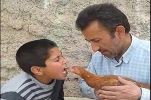 Tavuğu ağzındaki yemle besledi
