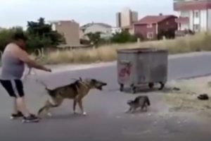 Vahşeti çocuklara kaydettirdi