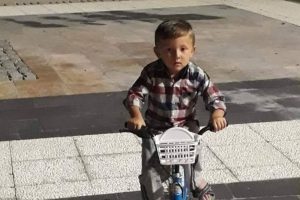 Sele kapılan Rüzgar'ı 60 kişilik ekip arıyor