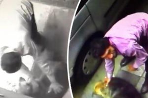 Köpeğe şiddet uygulayan kişi gözaltında!