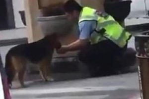 İzlenme rekoru kıran o polis konuştu: Vicdanı olan her insanın...