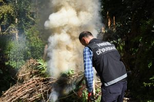 Hevsel Bahçeleri'nde uyuşturucu operasyonu!