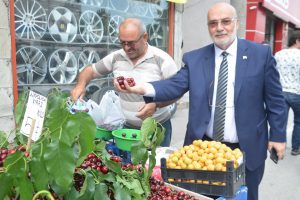 Bursa milletvekili adayı Yelis: ''Tarım arazilerinin boşta kalması bize haramdır''