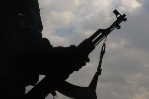 Mardin'de 2 terörist teslim oldu