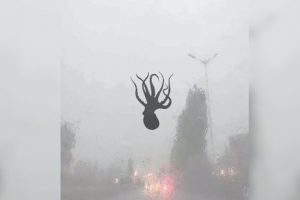 Gökten ahtapot yağdığı iddia edildi
