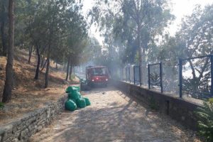 Çıkan ot yangını korku dolu anlar yaşattı
