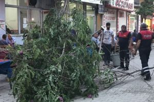 Iğdır'da fırtına esnafı mağdur etti