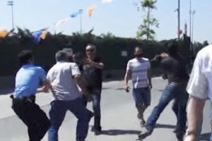 Faytoncular hayvanseverlere saldırdı!