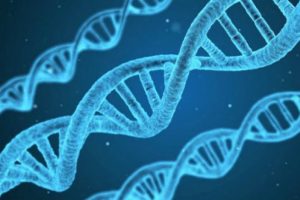DNA sentezleme için TdT kullanıldı