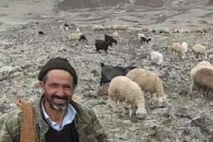 Tabancayla oynarken çobanı öldürdü!