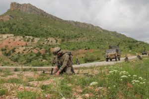 Bitlis'te terör operasyonu: 2 EYP imha edildi