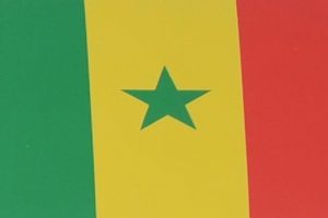 Senegal'de tartışmalı yasa ikinci kez parlamentodan geçti