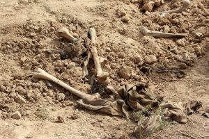 Mali'de 3 toplu mezar bulundu