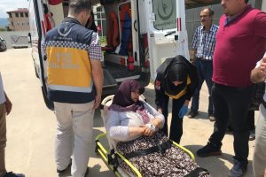 Bursa İznik'te baltalı saldırı