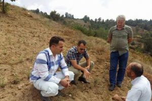 Bursa Orhaneli'de ekili alanları dolu vurdu