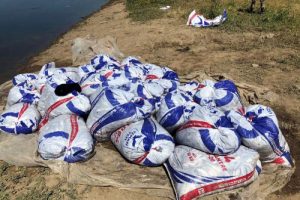 Kaçan avlanan 6 ton 400 kilo inci kefali ele geçirildi