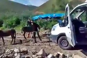 Yaylada mahsur kalan aracı eşekler kurtardı