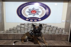 Tam 5 milyon TL değerinde!