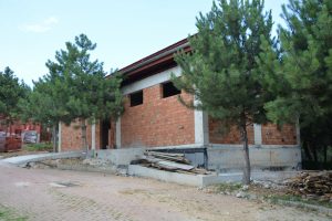 Türkiye'de ilk olacak! Bursa'da kedi tedavi ünitesi açılıyor
