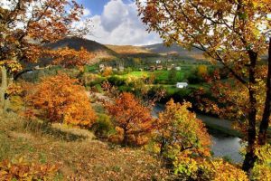 Ordu'daki Argan Yaylası turizme kazandırılıyor