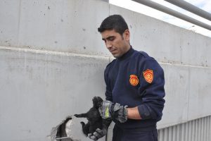 750 hayvan mahsur kaldığı yerden kurtarıldı