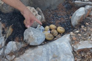 Patates pişirmek isterken yangın çıkardılar