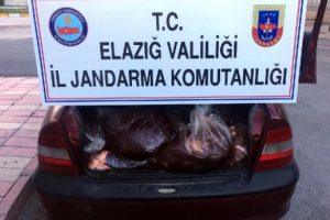 500 kilo kaçak sakatat ele geçirildi