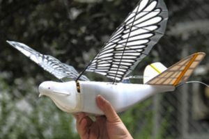 Çin'de yeni nesil teknoloji robot kuşlar