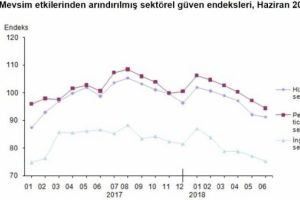 Sektörel güven endeksleri Haziran ayında düşüş yaşadı