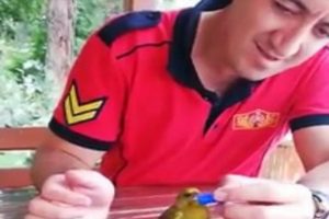 İtfaiye eri susayan kuşa böyle su içirdi