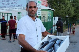 Suriyelilere 20 bin balık dağıtıldı