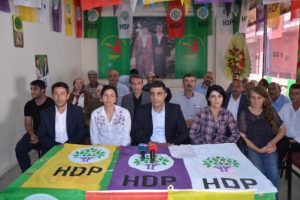 HDP Hakkari adayı Zeydanoğlu: Sandıkta ihlal tespitlerimiz var