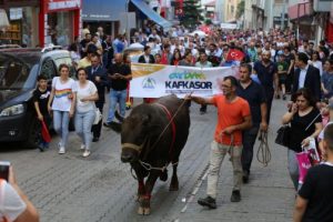 Kafkasör Festivali kortej yürüyüşüyle start verdi