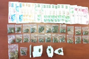 Sakarya'da 'Skunk' operasyonu