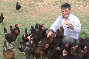 Oğlu yumurta yesin diye çiftlik kurdu