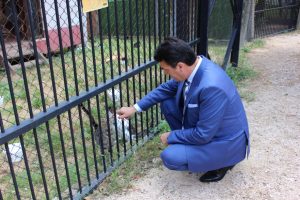 Türkiye'nin ilk kedi tedavi merkezi Bursa Osmangazi'de